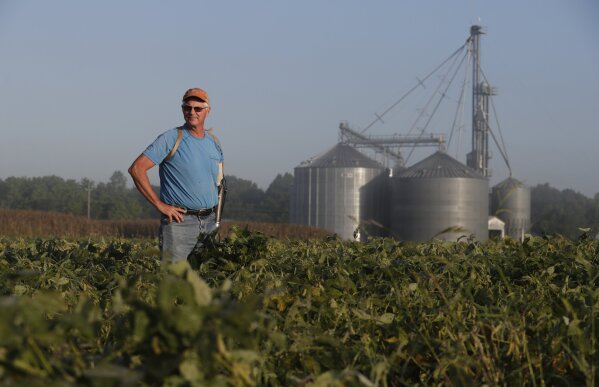 
              Jack Maloney looks over one of the soybean fields on his Little Ireland Farms in Brownsburg, Ind., Wednesday, Sept. 12, 2018. Maloney, who farms about 2,000 acres in Hendricks Count, said the aid for farmers is "a nice gesture" but what farmers really want is free trade, not government handouts. American farmers will soon begin getting checks from the government as part of a billion-dollar bailout to help those experiencing financial strain from President Donald Trump’s trade disputes with China (AP Photo/Michael Conroy)
            