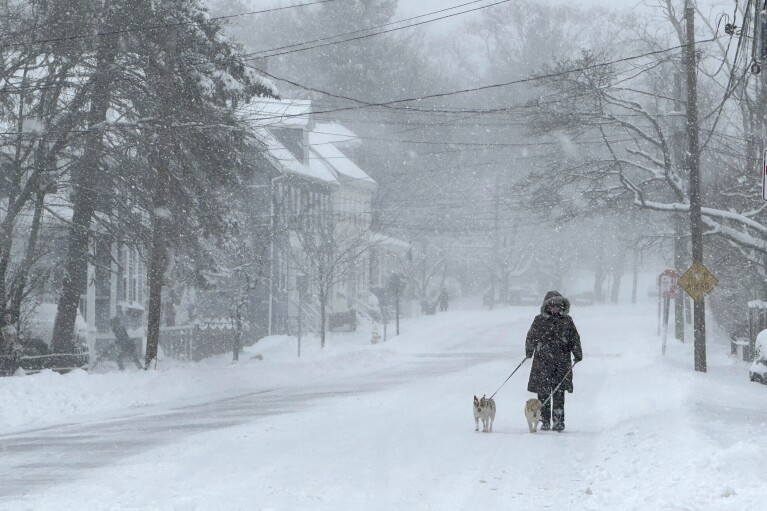 A person walks a dog as snow falls in Portsmouth, N.H., Sunday, Jan. 7, 2024. A major winter storm bringing up to a foot of snow and freezing rain to some communities spread across New England Sunday sending residents scurrying to pull out their shovels and snow blowers to clear sidewalks and driveways. Winter storm warnings and watches were in effect throughout the Northeast, and icy roads made for hazardous travel as far south as North Carolina. (AP Photo/Caleb Jones)