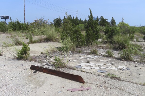 FILE - Trees grow up through the cracked cement, Wednesday, July 27, 2023, in Egg Harbor Township, N.J., where a string of seedy motels used to stand. The discovery of four dead women in a drainage ditch behind the motels just outside Atlantic City was shocking news in 2006. But as the years passed, the public’s attention and fear faded, and the case of the “Eastbound Strangler” – so named for the direction the victims’ heads were facing – remained unsolved. (AP Photo/Wayne Parry, File)