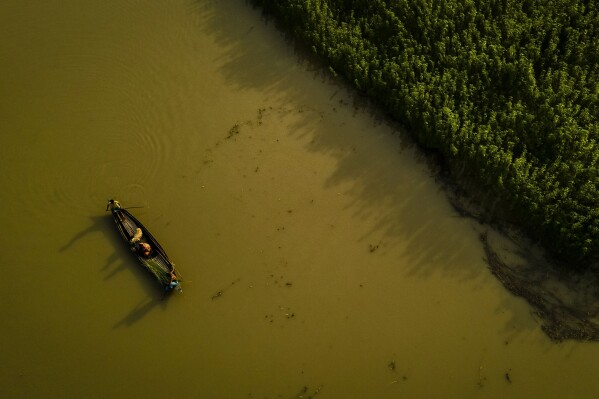 Yaad Ali, 55, and his family rows a boat to search for higher ground in Sandahkhaiti, a floating island village the Brahmaputra River in Morigaon district, Assam, India, Tuesday, Aug. 29, 2023. (AP Photo/Anupam Nath)