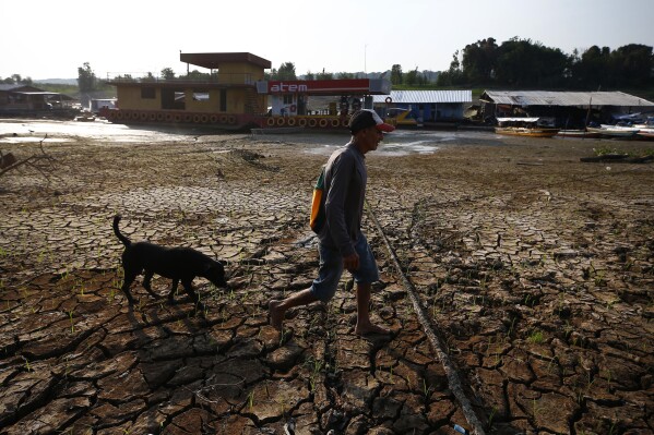 FILE - Joaquim Mendes da Silva, 73, walks with his dog on the dry bed of Puraquequara lake amid a drought, in Manaus, Amazonas state, Brazil, Oct. 5, 2023. He said this drought is the worst he can recall. (AP Photo/Edmar Barros, File)