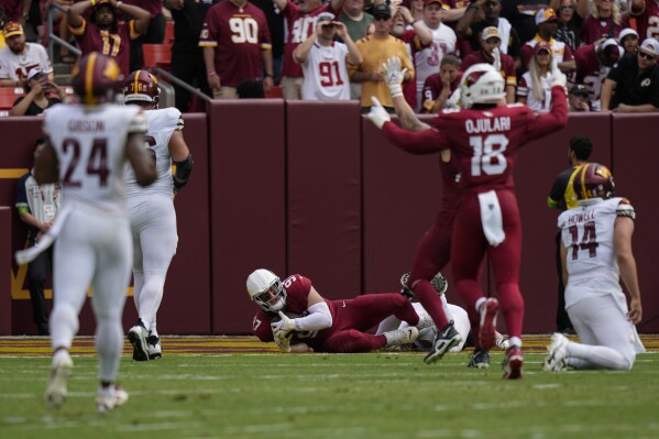 Arizona Cardinals linebacker Cameron Thomas (97) scores a touchdown after recovering a fumble by Washington Commanders quarterback Sam Howell (14) during the first half of an NFL football game, Sunday, Sept. 10, 2023, in Landover, Md. Also seen are Commanders safety Antonio Gibson (24) and Cardinals linebacker BJ Ojulari (18). (AP Photo/Alex Brandon)