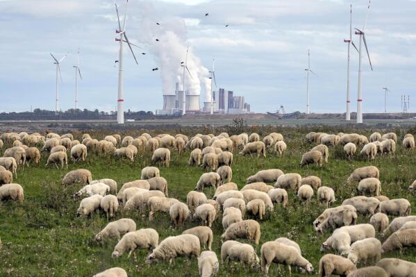 FILE - A flock of sheep graze in front of a coal-fired power plant at the Garzweiler open-cast coal mine near Luetzerath, western Germany, Oct. 16, 2022. The International Energy Agency said Wednesday, Oct. 19, that it expects carbon emissions from the burning of fossil fuels to rise again this year, but by much less than in 2021 due to the growth in renewable power and electric cars. (AP Photo/Martin Meissner, File)