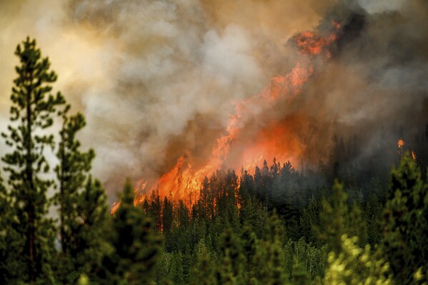 Flames from the Donnie Creek wildfire burn along a ridge top north of Fort St. John, British Columbia, on Sunday, July 2, 2023. (AP Photo/Noah Berger)