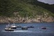 Boats circle the carcass of a Bryde's whale is seen in the waters of Hong Kong, Monday, July 31, 2023. (AP Photo/Louise Delmotte)
