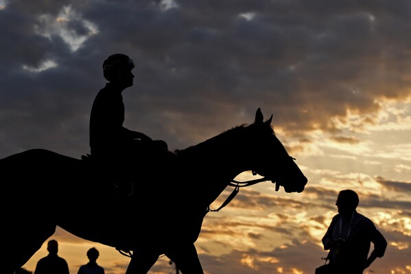 A horse comes off the track after a workout at Churchill Downs Wednesday, May 1, 2024, in Louisville, Ky. The 150th running of the Kentucky Derby is scheduled for Saturday, May 4. (AP Photo/Charlie Riedel)