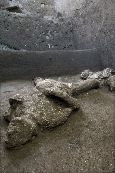 A detail of the casts of one of two bodies that are believed to have been a rich man and his male slave fleeing the volcanic eruption of Vesuvius nearly 2,000 years ago, are seen in what was an elegant villa on the outskirts of the ancient Roman city of Pompeii destroyed by the eruption in 79 A.D., where they were discovered during recents excavations, Pompeii archaeological park officials said Saturday, Nov. 21, 2020. (Parco Archeologico di Pompei via AP)