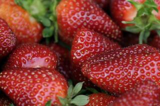 FILE - Fresh-picked strawberries are shown. U.S. and Canadian regulators are investigating a hepatitis outbreak that may be linked to fresh organic strawberries. (AP Photo/File)