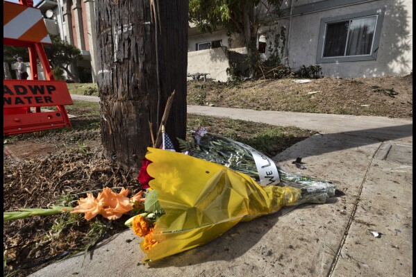 Flowers lay near a crash site in the Northridge section of Los Angeles on Saturday, Nov. 4, 2023 where a Los Angeles police officer was killed in a collision early Saturday morning involving a man suspected of driving under the influence. Officer Darrell Cunningham, one of the drivers involved in the collision, and another person riding with Cunningham in the passenger seat were killed after a 20-year-old man, driving at more than 100 miles (161 kilometers) per hour, failed to stop at a red light and struck the car, Los Angeles Police Department Chief Michel Moore said at a press conference. (AP Photo/Richard Vogel)