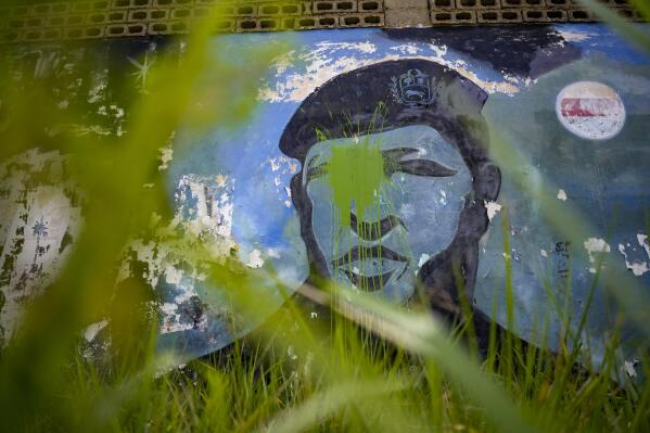 Grass grows around a mural of the late President Hugo Chavez's in his home state of Barinas, in Barinas, Venezuela, Friday, Jan. 7, 2022. The country's highest court disqualified opposition candidate Freddy Superlano as he was leading the count in November's gubernatorial election in Barinas, apparently defeating Chávez's brother, Argenis Chavez, and ordered a re-run on Jan. 9. (AP Photo/Matias Delacroix)