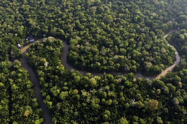 FILE - Forest lines the Combu creek, on Combu Island on the banks of the Guama River, near the city of Belem, Para state, Brazil, Aug. 6, 2023. The two-day Amazon Summit opens Tuesday, Aug. 8, 2023, in Belem, where Brazil hosts policymakers and others to discuss how to tackle the immense challenges of protecting the Amazon and stemming the worst of climate change. (AP Photo/Eraldo Peres)