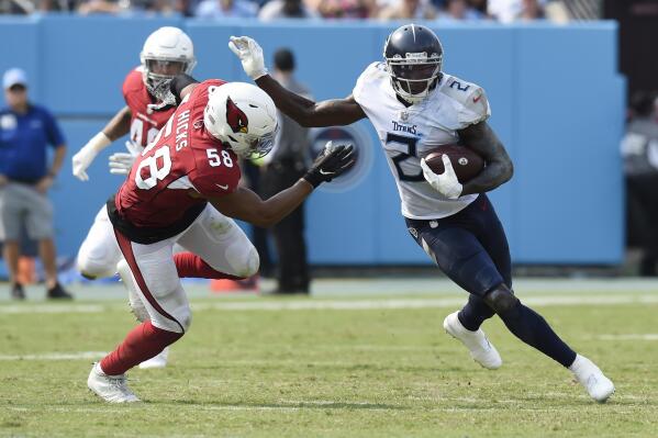 Mike Vrabel calls out Julio Jones for 'dumb s--t' in Titans loss