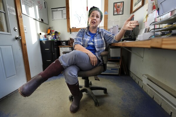 CORRECTS NAME SPELLING: Seafood dealer Togue Brawn speaks to a reporter at a processing facility, Tuesday, March 11, 2025, in Bremen, Maine. (AP Photo/Robert F. Bukaty)