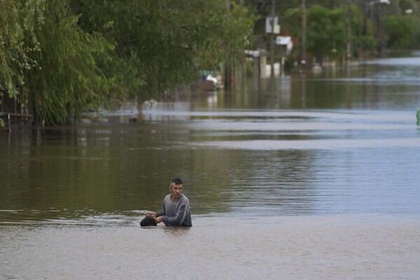 A man recovers a sheep drowned in flood waters after heavy rains in Campana, Argentina, Saturday, May 17, 2025. (AP Photo/Rodrigo Abd)