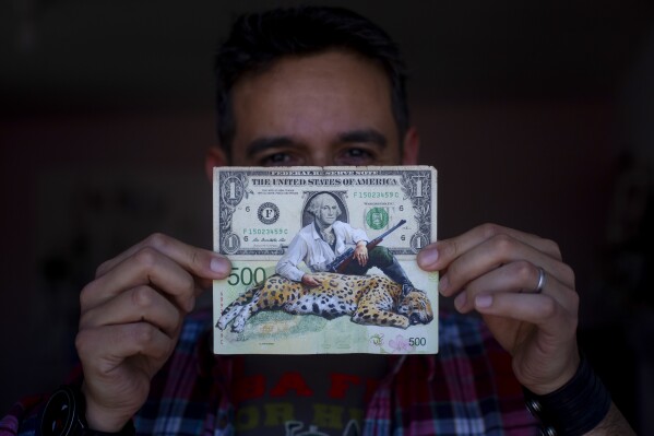 Artist Sergio Díaz holds up a piece of his Money Art; the backdrop a U.S. dollar bill and an Argentine 500-peso note, featuring George Washington holding a rifle alongside a dead jaguar, in his studio in Salta, Argentina, Saturday, Sept. 9, 2023. Diaz is part of a group of artists seeking to show Argentina's economic crisis through their artwork. (AP Photo/Javier Corbalan)