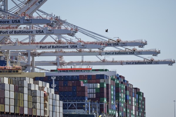 A bird flies near the container ships Epaminondas and Talos while they are docked at the Port of Baltimore, Wednesday, April 9, 2025, in Baltimore. (AP Photo/Stephanie Scarbrough)