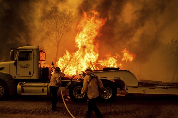 Firefighters spray water as the Park Fire tears though the Cohasset community in Butte County, Calif., on Thursday, July 25, 2024. (AP Photo/Noah Berger)