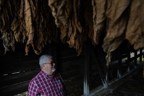 Keith Lowery stands inside a tobacco barn, Thursday, Nov. 9, 2023, in Pilot Oak, Kentucky. (AP Photo/Joshua A. Bickle)