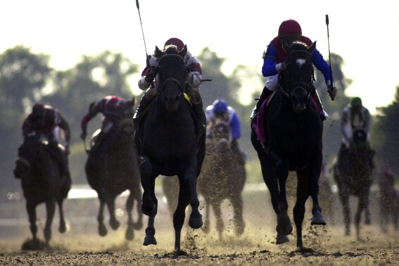 FILE - Edgar Prado rides Sarava, left, to victory in the 134th Belmont Stakes in Elmont, N.Y., June 8, 2002. Finishing second is Medaglia d'Oro,right, ridden by Kent Desormeaux. Old Friends, the Thoroughbred retirement facility in Georgetown, Ky., has announced announced that Sarava, the upset winner of the 2002 Belmont Stakes (G1), died Monday, Aug. 28, 2023. (Mark Cornelison/Lexington Herald-Leader via AP)