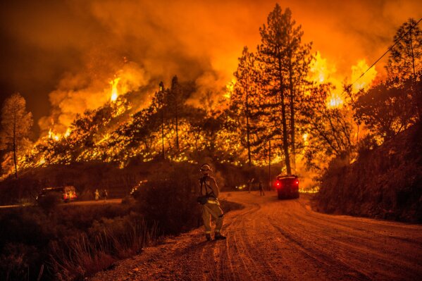 
              In this 2015 photo, fire crews run controlled burns at night to contain the Butte Fire near Arnold, Calif. In the community that serves as gateway to Calaveras Big Trees State Park, residents didn't always applaud when officials began mapping plans to thin dense stands of trees to reduce fire risk. "Arnold resisted this for a long time because people love their trees," said Steve Wilensky, a former Calaveras County supervisor who works with nonprofits to improve fire safety in the Sierra. (Andrew Seng/The Sacramento Bee via AP)
            