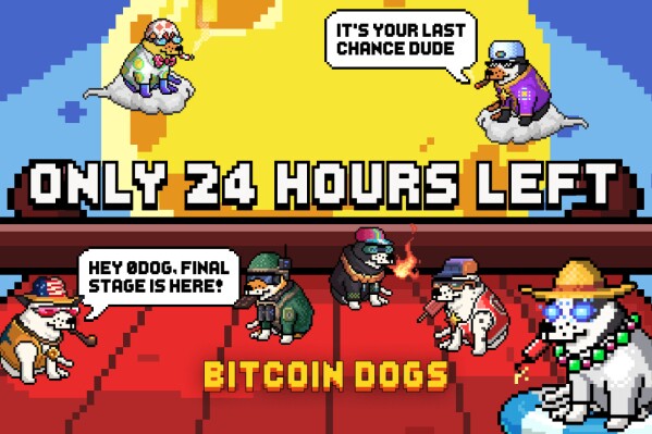 LONDON, UK / ACCESSWIRE / March 15, 2024 / With over $11.5 million already raised in under 30 days, Bitcoin Dogs' buying is now entering its final 24 hours of its presale. News of the first ICO on the Bitcoin Blockchain have been circulating ...