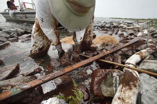 FILE - A cleanup worker picks up blobs of oil in absorbent snare on Queen Bess Island at the mouth of Barataria Bay near the Gulf of Mexico in Plaquemines Parish, La., June 4, 2010. When a deadly explosion destroyed BP's Deepwater Horizon drilling rig in the Gulf of Mexico, tens of thousands of ordinary people were hired to help clean up the environmental devastation. These workers were exposed to crude oil and the chemical dispersant Corexit while picking up tar balls along the shoreline, laying booms from fishing boats to soak up slicks and rescuing oil-covered birds. (AP Photo/Gerald Herbert, File)