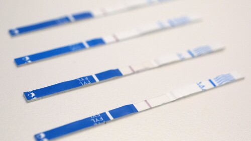 FILE - This May 10, 2018, file photo shows an arrangement of fentanyl test strips in New York. Kentucky Gov. Andy Beshear says Kentucky has made gains in battling the drug epidemic. The governor pointed to efforts in “breaking down the stigma” to reach out for treatment. His comments came Thursday, June 15, 2023 while he released statistics showing overdose fatalities declined but remain high. (AP Photo/Mark Lennihan, File)