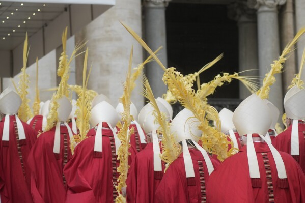 Cardinals arrive for the mass on Palm Sunday in St. Peter's Square at The Vatican, Sunday, April 13, 2025. (AP Photo/Gregorio Borgia)