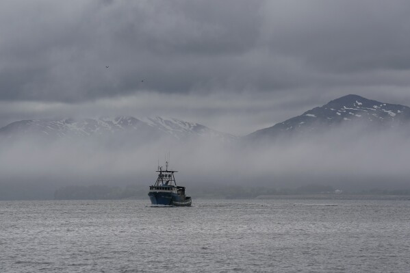 A boat maneuvers with the backdrop of snow covered mountains, Friday, June 23, 2023, in Kodiak, Alaska. (AP Photo/Joshua A. Bickel)