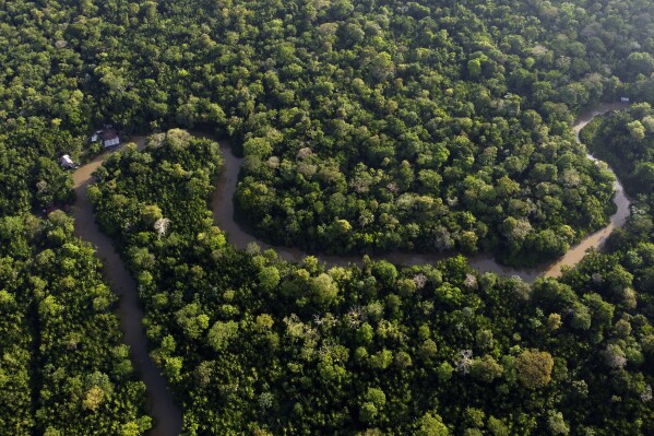 ARCHIVO - Vista de la selva amazónica con el río Guama y la isla Combu cerca de Belem, Brasil, 6 de agosto de 2023. La Cumbre de la Amazonia, de dos días, comienza el martes 8 de agosto de 2023 en Belem. (AP Foto/Eraldo Peres)
