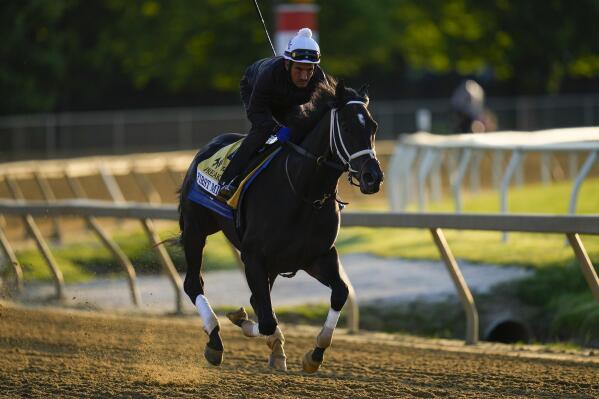 Preakness Stakes entrant First Mission works out ahead of the 148th running of the Preakness Stakes horse race at Pimlico Race Course, Thursday, May 18, 2023, in Baltimore. (AP Photo/Julio Cortez)