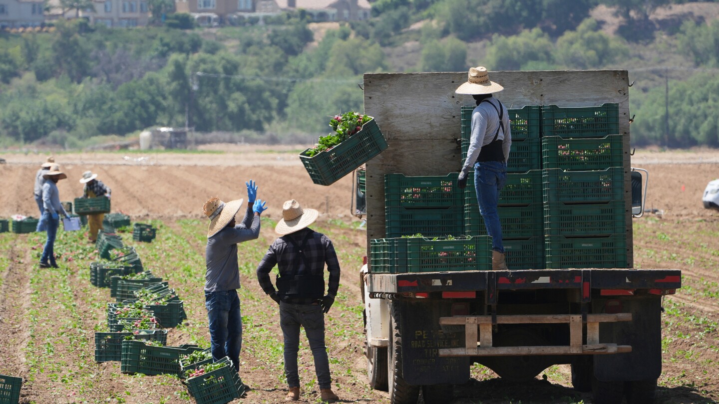 Trump curbs immigration enforcement at farms, meatpacking plants, hotels and restaurants
