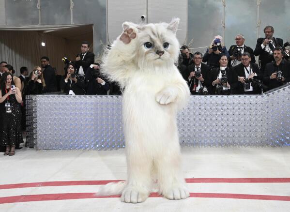 Jared Leto, dressed as Karl Lagerfeld's pet "Choupette," waves as he arrives to the Metropolitan Museum of Art's Costume Institute benefit gala, in New York, Monday, May 1, 2023. (Photo by Evan Agostini/Invision/AP)