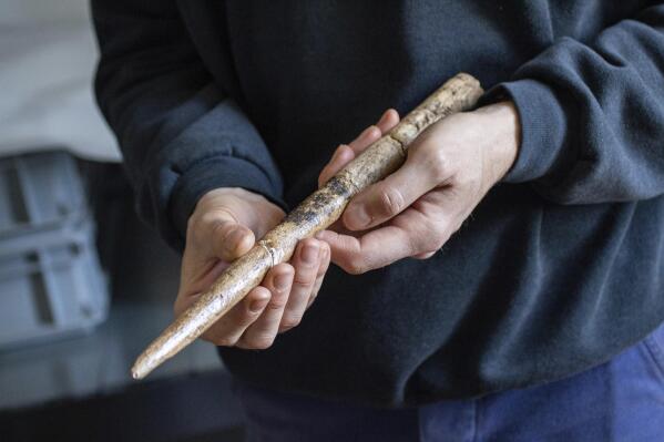 This image provided by Alexandre Lefebvre shows a projectile made from gray whale bone, dating back to about 18,000 years ago, in Abbaye d'Arthous, France, in March 2021. (Alexandre Lefebvre via AP)