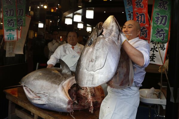FILE - In this Sunday, Jan. 5, 2020, file photo, a sushi chef holds up the head of a bluefin tuna at a restaurant in Tsukji market area in Tokyo, after it was sold at the first auction of the year at Tokyo's Toyosu fish market. Countries involved in managing bluefin tuna fisheries are set to face-off over a Japanese proposal to raise its catch quotas for the fish, highly prized for sushi and sashimi. At an online meeting that began Tuesday, Oct. 6, 2020, Japan is seeking to raise its catch limits for both smaller and larger bluefin tuna by 20%.  (AP Photo/Jae C. Hong, File)