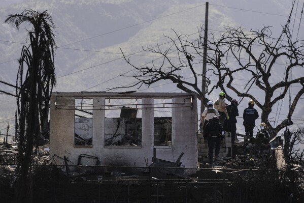 Search and rescue team members work in a residential area devastated by a wildfire in Lahaina, Hawaii, Friday, Aug. 18, 2023. An emergency official who defended a decision to not sound outdoor alert sirens on Maui as a ferocious fire raged has resigned. (AP Photo/Jae C. Hong)