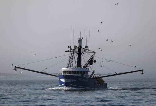 FILE - The Ruth & Pat, a herring seine boat, motors out of the fog, July 27, 2018, off the coast of South Portland, Maine. Conservative and business interests that want to limit the power of regulators think they have a winner in the Atlantic herring and the boats that sweep the modest fish into their holds by the millions. In a Supreme Court term increasingly dominated by cases related to Donald Trump, the justices are about to take up lower-profile but vitally important cases that could rein in government regulations across a wide range of American life. (AP Photo/Robert F. Bukaty, File)