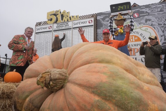 Bizarre and Hilarious: The Weird News Making Waves in the USA Today