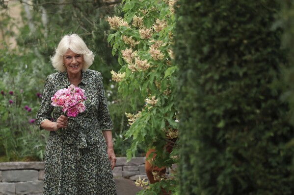 Britain's Queen Camilla holds roses called "The King's Rose" of David Austin Roses at the Chelsea Flower Show in London, Monday May 19, 2025. (Toby Melville/Pool via AP)