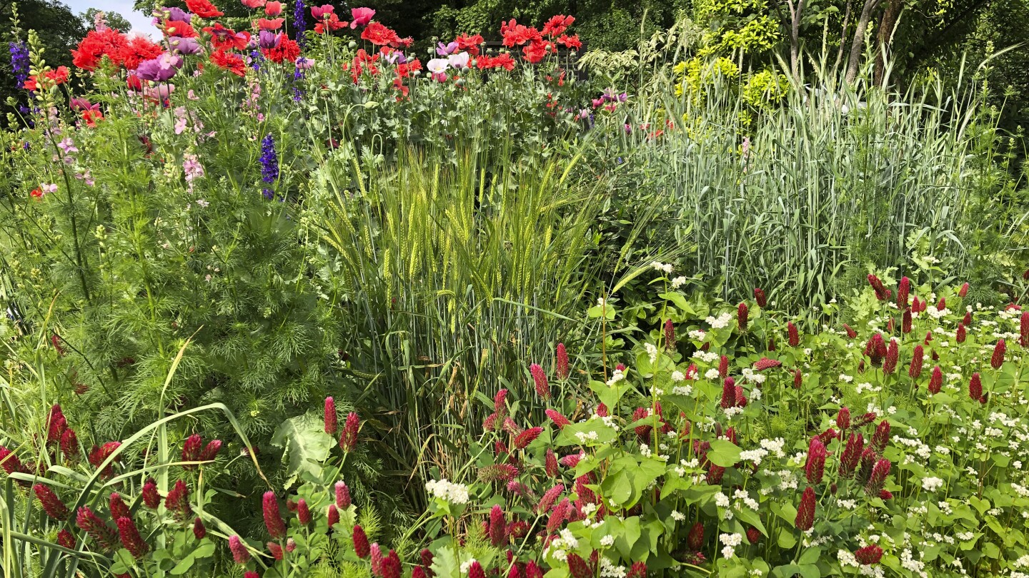 „Foodscaping“ вмъква зеленчуци сред цветята за визуална привлекателност в градината