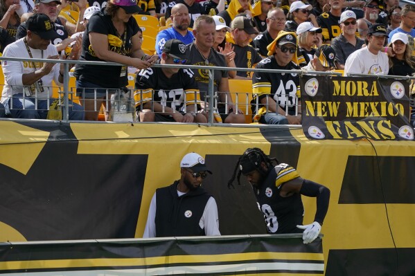 Steelers DT Heyward, WR Johnson sidelined several weeks with injuries