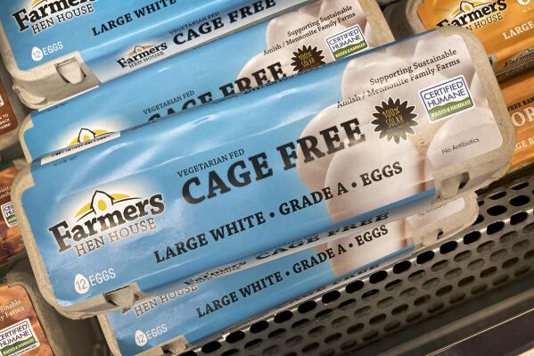 Welfare-conscious consumers are urged to avoid purchasing large eggs