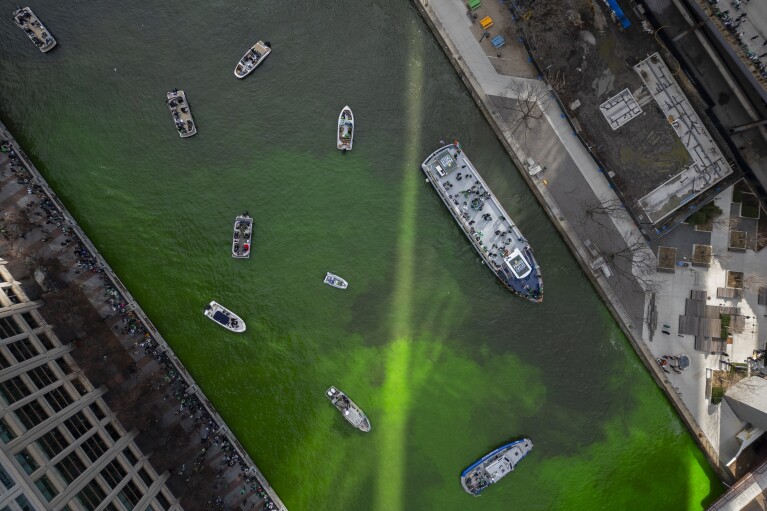 La rivière Chicago est teinte en vert avant les célébrations de la Saint-Patrick, le samedi 16 mars 2024, à Chicago.  (Photo AP/Erin Hooley)