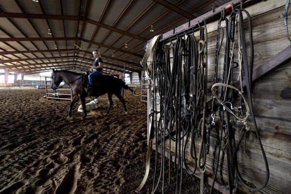 Ranch owner Gilda Jackson works with one of her horses in the arena on her property in Paradise, Texas, Monday, Aug. 21, 2022.  (AP Photo/Tony Gutierrez)