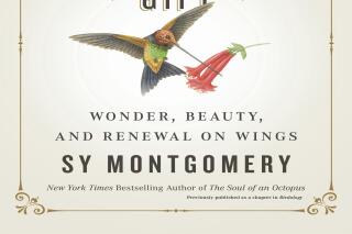 This cover image released by Atria shows "The Hummingbirds' Gift: Wonder, Beauty, and Renewal on Wings," by Sy Montgomery. (Atria via AP)