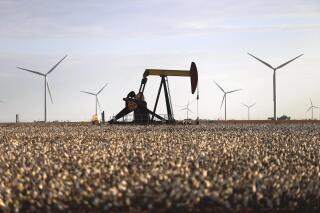 FILE - A pump jack and wind turbines stand inside of a cotton field on Oct. 18, 2015, near Lamesa, Texas. The U.S. government is greenlighting a proposed multibillion-dollar transmission line Thursday, May 18, 2023, that would send primarily wind-generated electricity from the rural plains of New Mexico to big cities in the West (Edyta Blaszczyk/Odessa American via AP, File)