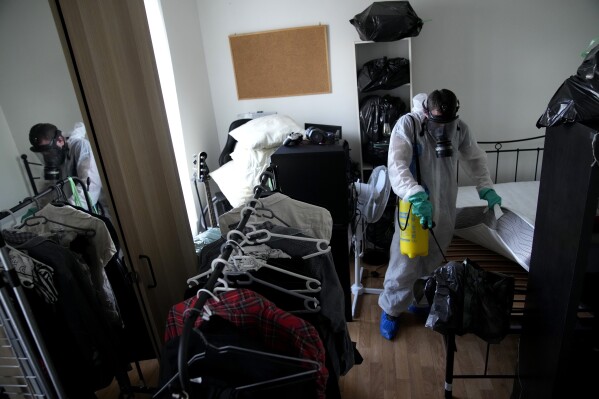 Pest control technician Lucas Pradalier sprays an insecticide under a mattress Wednesday, Oct. 4, 2023 in a Paris apartment. The French government has been forced to step in to calm a nation increasingly anxious about bedbugs. (AP Photo/Christophe Ena)