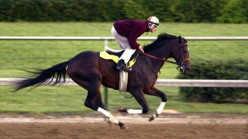 FILE - Kentucky Derby winner Fusaichi Pegasus, with exercise rider Andrew Durnin up, works five furlongs at Churchill Downs in Louisville, Ky., May 15, 2000. Fusaichi Pegasus, the 2000 Kentucky Derby winner, has died. He was 26. He was euthanized Tuesday, May 23, 2023, at Ashford Stud in Versailles, Ky., due to the infirmities of old age, the farm said Wednesday. (AP Photo/Garry L. Jones, File)