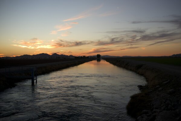FILE - This Thursday, Nov. 12, 2015 file photo shows water diverted from the Colorado River in an irrigation canal in Blythe, Calif. Western U.S. states that have agreed to begin taking less water next month from the drought-stricken Colorado River got praise and a push Thursday, Dec. 12, 2019 from the nation's top water official. U.S. Bureau of Reclamation Commissioner Brenda Burman told federal, state and local water managers from seven states that the promises are crucial to ensuring that more painful cuts aren't required. On Jan. 1, Arizona, Nevada and Mexico start taking less water from the river. California, Colorado, New Mexico, Utah, Wyoming, several Native American tribes and farmers also have a stake in the river that supports about 40 million people. (AP Photo/Jae C. Hong, File)