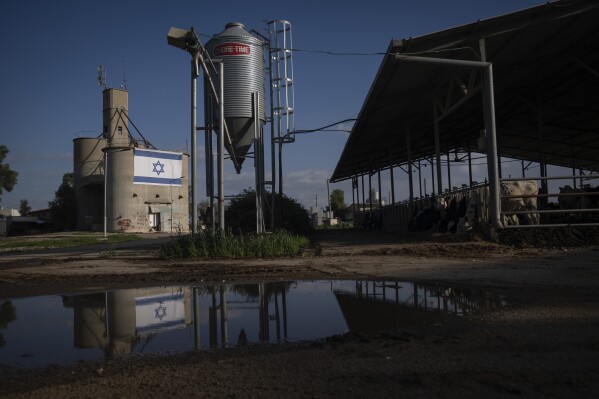 An Israeli flag is displayed on a grain silo in Kibbutz Nahal Oz, Israel, on Jan. 30, 2024. Near the border with Gaza, the kibbutz was one of the Israeli communities attacked on Oct. 7, 2023 during a cross-border raid by Hamas militants. (AP Photo/Sam McNeil)